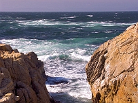 17 Mile Drive 1